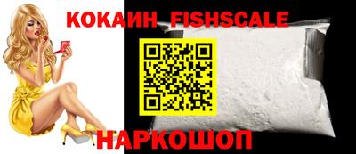 гидра Новозыбков