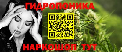 сатива Новодвинск