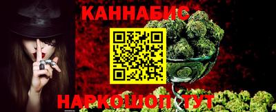 гидра Новозыбков